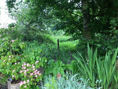 Secret Gardens of Sligo: Heathfield House