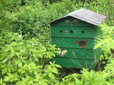 Secret Gardens of Sligo: Heathfield House