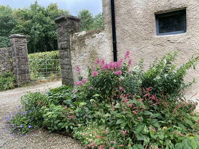 Secret Gardens of Sligo: Juniper Barn