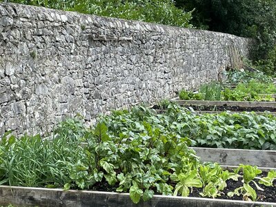 Secret Gardens of Sligo: Juniper Barn