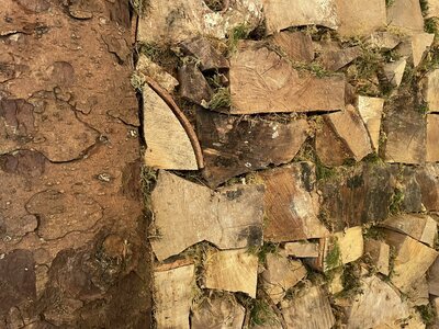 Secret Gardens of Sligo: Juniper Barn