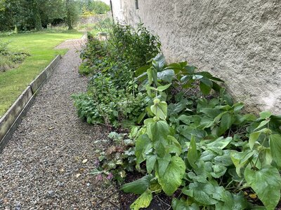 Secret Gardens of Sligo: Juniper Barn