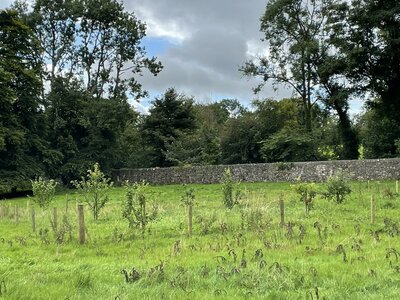Secret Gardens of Sligo: Juniper Barn