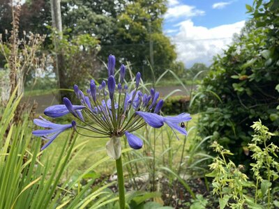 Secret Gardens of Sligo: Juniper Barn