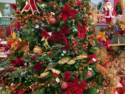 So This Is Christmas