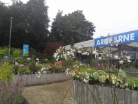 The Garden Centre through the year