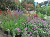 The Garden Centre through the year