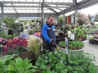 The Garden Centre through the year