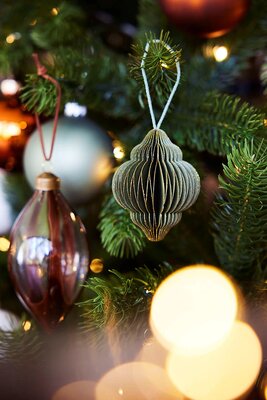 'Cosy Time' - Image Courtesy of Kaemingk