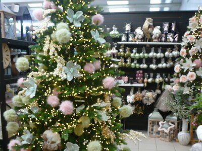 'Cosy Time' - Image taken at Ardcarne Garden Centre, Boyle - 10/10/2025