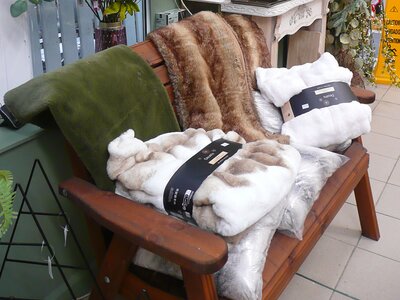 'Cosy Time' - Image taken at Ardcarne Garden Centre, Boyle - 10/10/2025