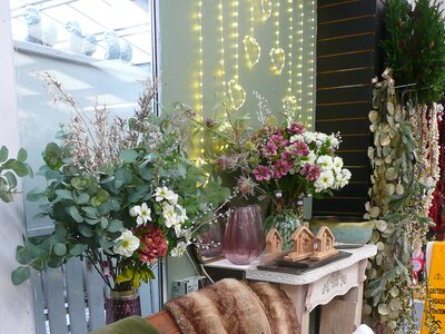 'Cosy Time' - Image taken at Ardcarne Garden Centre, Boyle - 10/10/2025