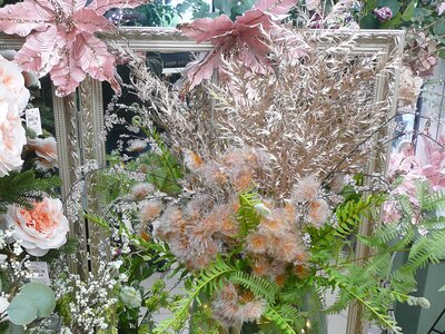 'Cosy Time' - Image taken at Ardcarne Garden Centre, Boyle - 10/10/2025