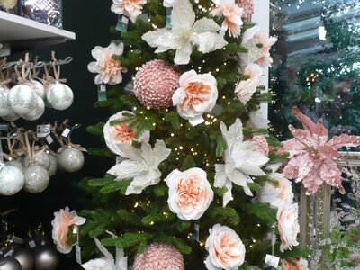 'Cosy Time' - Image taken at Ardcarne Garden Centre, Boyle - 10/10/2025