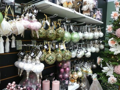 'Cosy Time' - Image taken at Ardcarne Garden Centre, Boyle - 10/10/2025