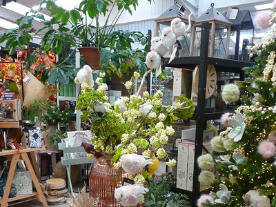 'Cosy Time' - Image taken at Ardcarne Garden Centre, Boyle - 10/10/2025