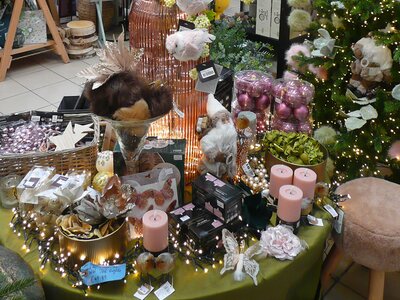 'Cosy Time' - Image taken at Ardcarne Garden Centre, Boyle - 10/10/2025