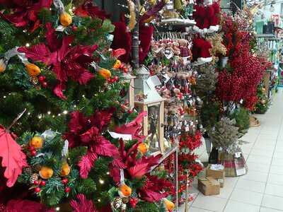 'Country Christmas' - Image taken at Ardcarne Garden Centre, Boyle - 10/10/2025