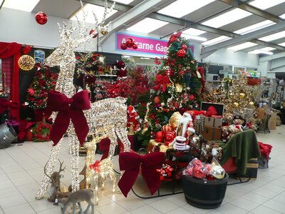 'Country Christmas' - Image taken at Ardcarne Garden Centre, Boyle - 10/10/2025