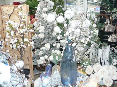 'Snow Moon' - Photo taken at Ardcarne Garden Centre, Boyle - 10/10/2025