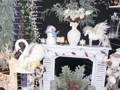 'Snow Moon' - Photo taken at Ardcarne Garden Centre, Boyle - 10/10/2025