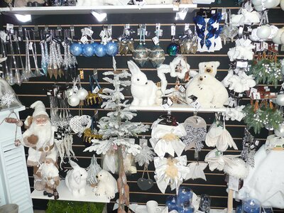 'Snow Moon' - Photo taken at Ardcarne Garden Centre, Boyle - 10/10/2025