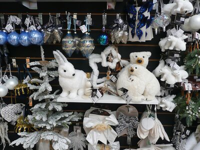 'Snow Moon' - Photo taken at Ardcarne Garden Centre, Boyle - 10/10/2025