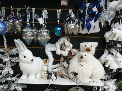 'Snow Moon' - Photo taken at Ardcarne Garden Centre, Boyle - 10/10/2025