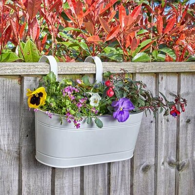 12” Fence & Balcony Hanging Planter - Ivory