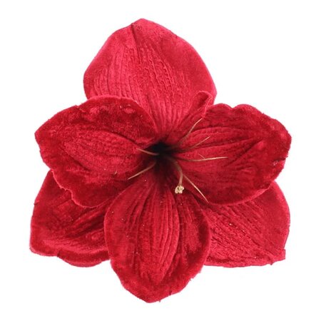 Velvet Amaryllis Clip (14cm)