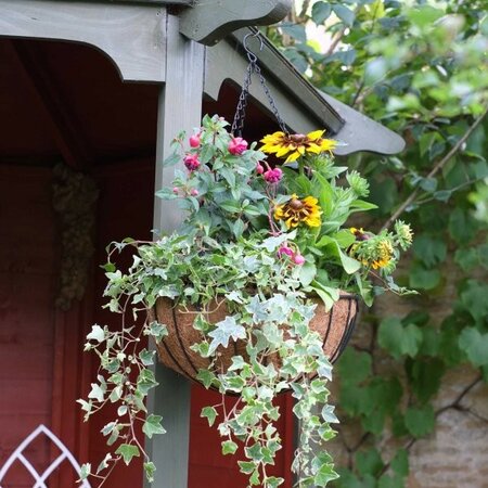 14in Smart Hanging Basket -Image courtesy of Smart Garden Products