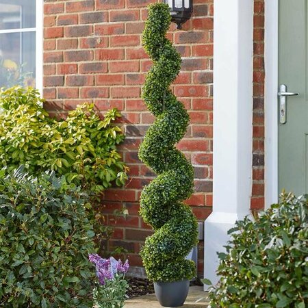 Topiary Twirl (150cm)