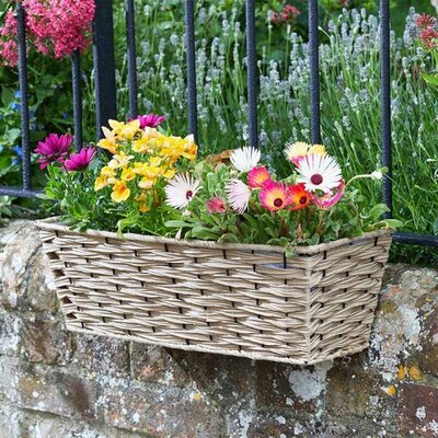 19” Bari Faux Rattan Planter - Sand