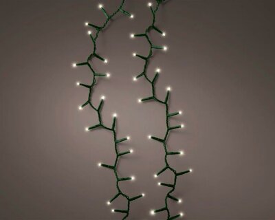 2000 LED compact lights (green; warm white)