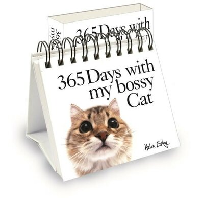 Image courtesy of AllSorted books