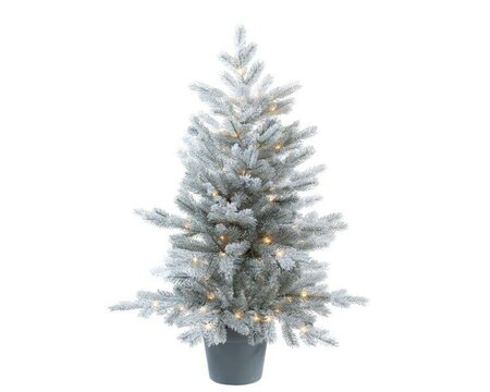 Grandis tree frosted Micro LED (green; white)