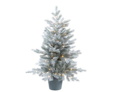 Grandis tree frosted Micro LED (green; white)