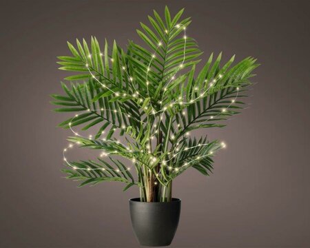 40 Micro LED star plant lights (silver; warm white)