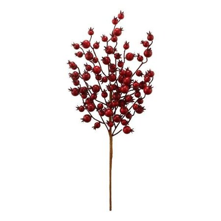 Cranberry Spray -Image courtesy of Sage Décor