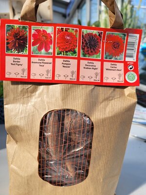 5 Dahlias Red Shades - Image by Ardcarne Garden Centre