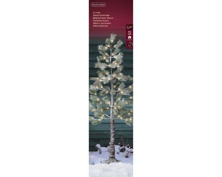 LED snowy pine tree boxed - Image courtesy of Kaemingk