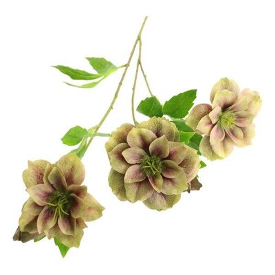 Ashwood Hellebore Spray -Image courtesy of Sage Décor