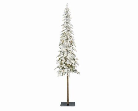 Alpine fir snowy (green; white )