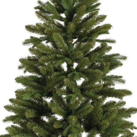 6ft Tiaga fir tree - image 4