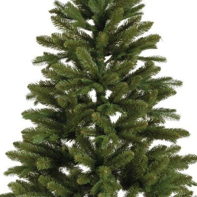 6ft Tiaga fir tree - image 4