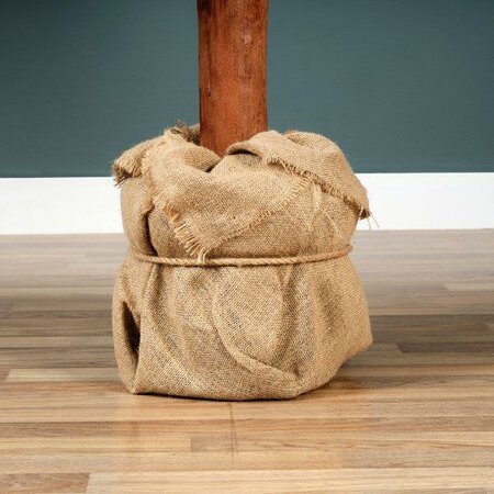 6ft Tiaga fir tree - image 5