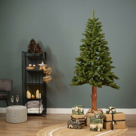 6ft Tiaga fir tree - image 6