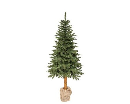 6ft Tiaga fir tree - image 1