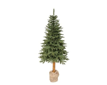 7ft Tiaga fir tree - image 1