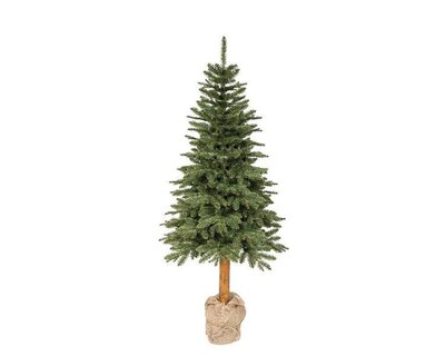 7ft Tiaga fir tree - image 6